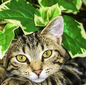 Meet your Posher, Marie